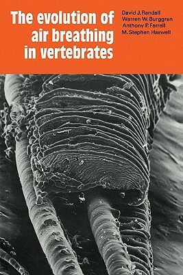 The Evolution of Air Breathing in Vertebrates by Anthony P. Farrell, Warren W. Burggren, David J. Randall