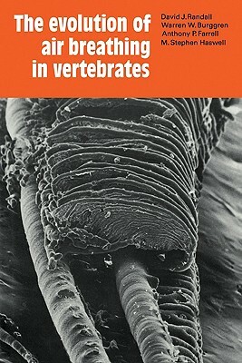 The Evolution of Air Breathing in Vertebrates by David J. Randall, Warren W. Burggren, Anthony P. Farrell