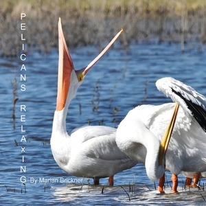 Pelicans Relaxing by Marian Brickner