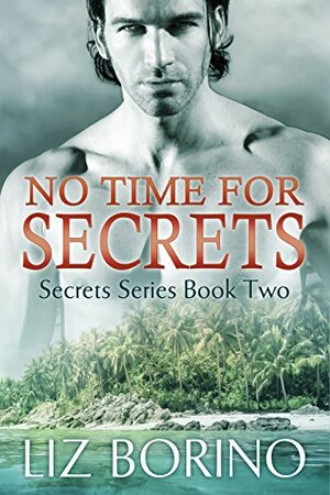 No Time for Secrets by Liz Borino