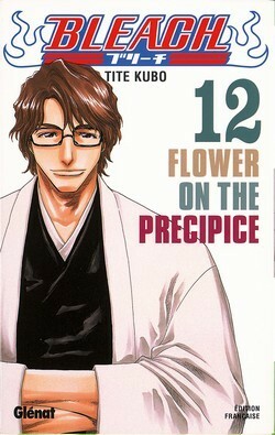 Bleach, Tome 12: Flower on the Precipice by Tite Kubo