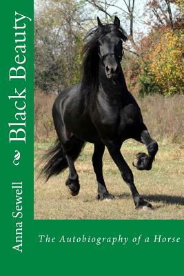 Black Beauty by Anna Sewell