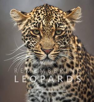 Remembering Leopards by Margot Raggett, Wildlife Photographers United