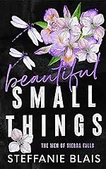 Beautiful Small Things by Steffanie Blais, Steffanie Blais