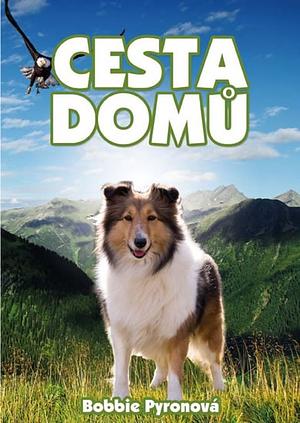 Cesta domů by Bobbie Pyron