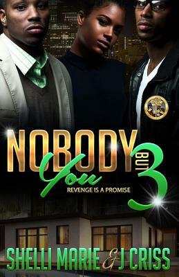 Nobody But You 3: Revenge Is A Promise by J. Criss, Shelli Marie