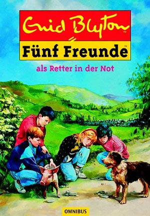 Fünf Freunde als Retter in der Not by Enid Blyton