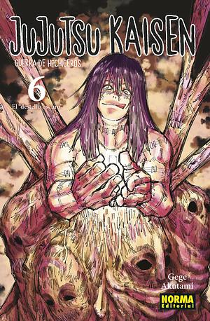 Jujutsu Kaisen vol. 6: El "destello oscuro" by Gege Akutami