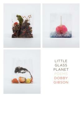 Little Glass Planet: Poems by Dobby Gibson