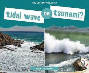 Tidal Wave or Tsunami? by Kelly Doudna