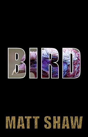 BIRD: The Troubled Tale of a Henpecked Husband by Matt Shaw