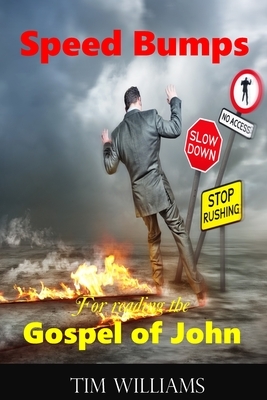 Speed Bumps for reading the Gospel of John by Tim Williams