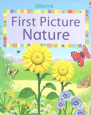 First Picture Nature by Stephanie Jones, Jo Litchfield, Felicity Brooks, Matt Durber