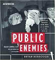 Public Enemies by Bryan Burrough