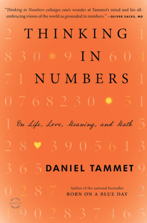 Thinking In Numbers: On Life, Love, Meaning, and Math by Daniel Tammet