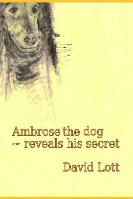 Ambrose the dog reveals his secret by David Lott