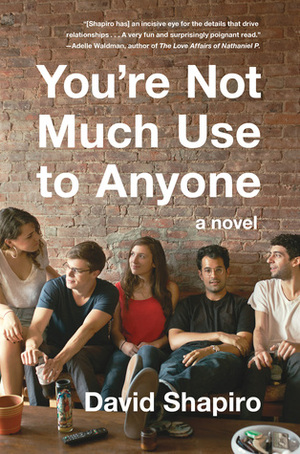 You're Not Much Use to Anyone by David Shapiro