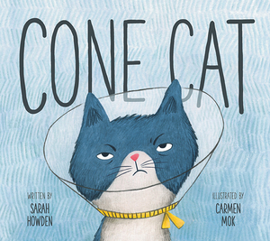 Cone Cat by Sarah Howden