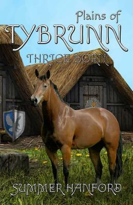 Plains of Tybrunn by Summer Hanford