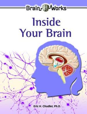 Inside Your Brain by Eric H. Chudler