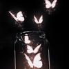 littlepoet's profile picture