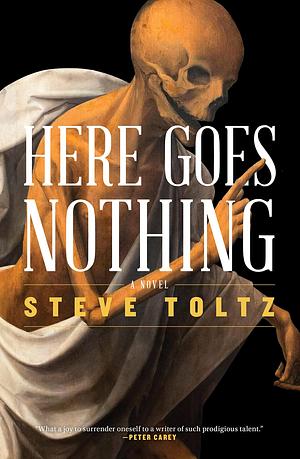 Here Goes Nothing by Steve Toltz