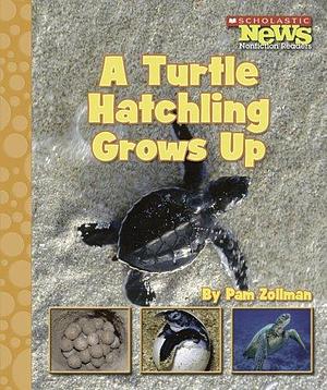 A Turtle Hatchling Grows Up by Pam Zollman