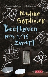 Beethoven was 1/16 zwart en andere verhalen by Nadine Gordimer