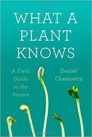 Šta biljka zna: vodič kroz svet čula by Daniel Chamovitz