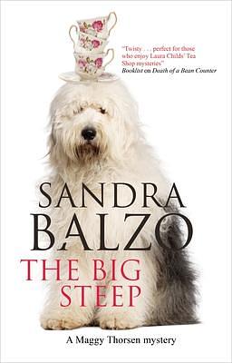 Big Steep, The by Sandra Balzo, Sandra Balzo