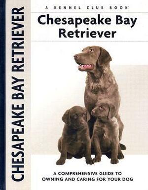 Chesapeake Bay Retriever by Nona Kilgore Bauer