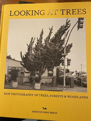 Looking at Trees: New Photography of Trees, Forests & Woodlands by Sophie Howarth
