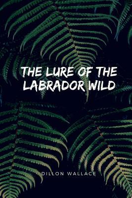 The Lure Of The Labrador Wild by Dillon Wallace