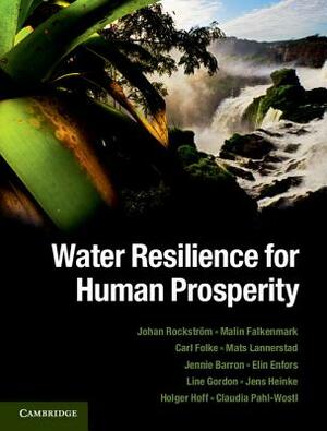 Water Resilience for Human Prosperity by Johan Rockström, Malin Falkenmark, Carl Folke