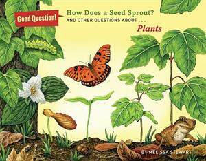 How Does a Seed Sprout?: And Other Questions about Plants by Melissa Stewart