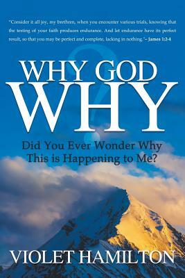 Why God Why: Why Is This Happening to Me? by Violet Hamilton