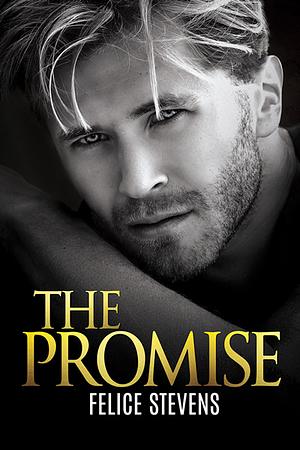 The Promise by Felice Stevens