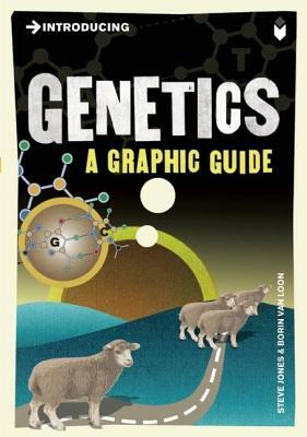 Introducing Genetics: A Graphic Guide by Steve Jones
