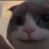 ruisquared's profile picture