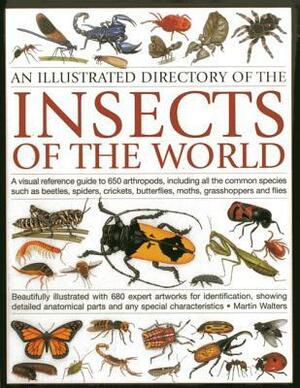 An Illustrated Directory of the Insects of the World: A Visual Reference Guide to 650 Arthropods, Including All the Common Insect Species Such as Beetles, Spiders, Butterflies, Moths, Grasshoppers and Flies by Martin Walters