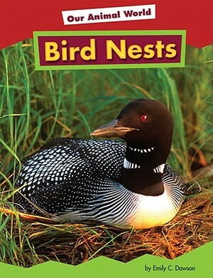 Bird Nests by Heather Adamson