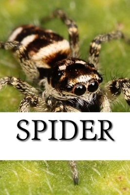 Spider by Spider
