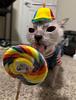 fatherziggy's profile picture