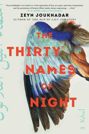 The Thirty Names of Night by Zeyn Joukhadar