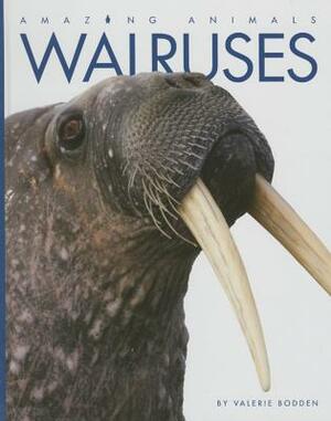 Walruses by Valerie Bodden