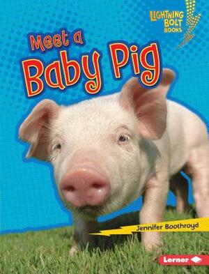 Meet a Baby Pig by Jennifer Boothroyd