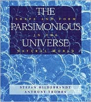 The Parsimonious Universe: Shape And Form In The Natural World by Stefan Hildebrandt, Anthony J. Tromba