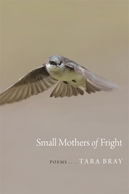 Small Mothers of Fright: Poems by Tara Bray
