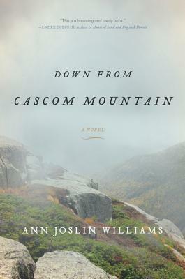 Down from Cascom Mountain by Ann Joslin Williams