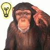 dgalonso22's profile picture